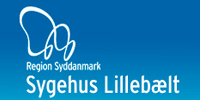 <mark>Region</mark> <mark>Syddanmark</mark> logo