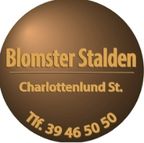 Blomster Stalden logo